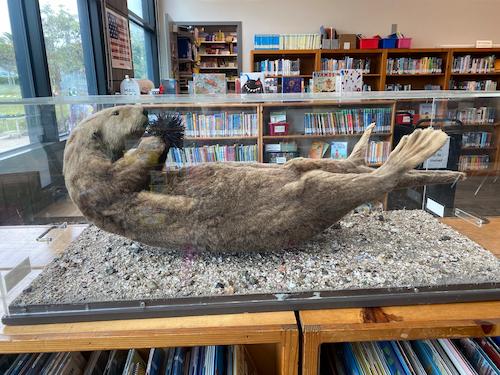 You “OTTER” Come See What We’re Learning!