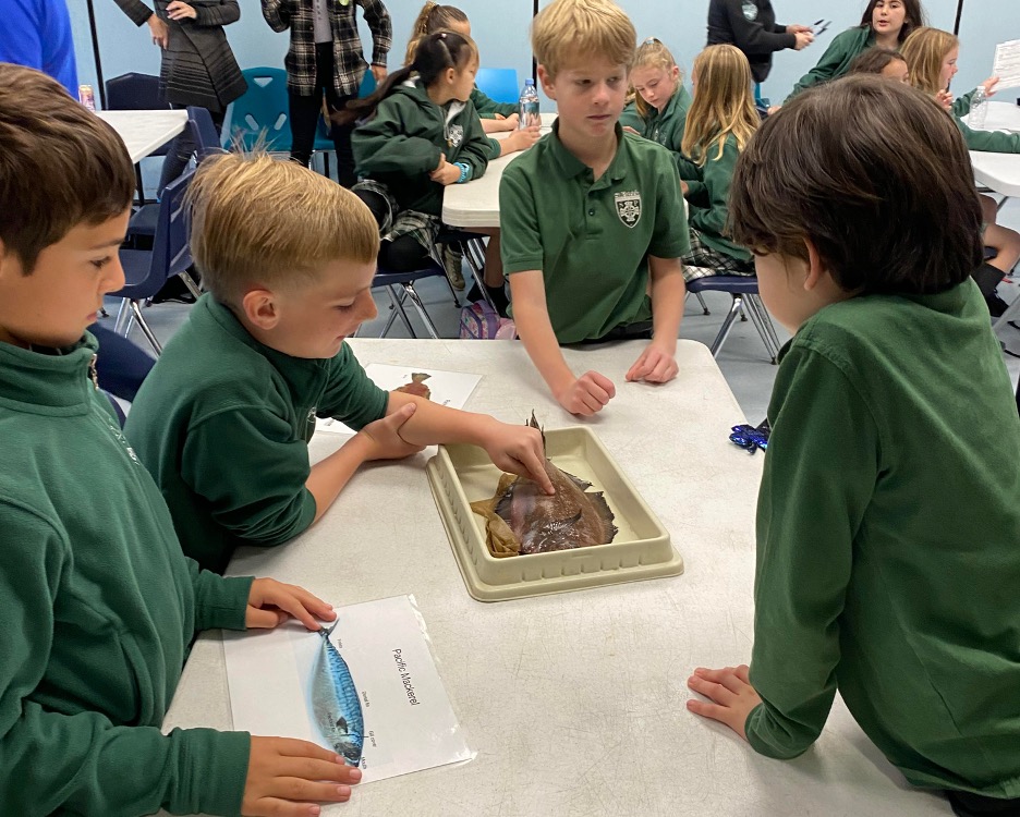 2nd & 3rd Graders Visit Birch Aquarium